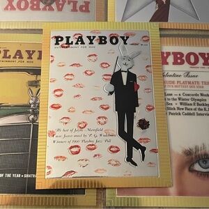 90s Vintage Playboy Chromium Cover Playboy Bunny Collectors 1995 #17